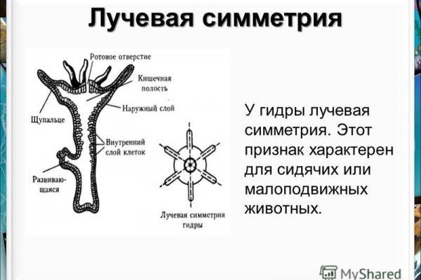 Kraken tor ссылка kraken014 com