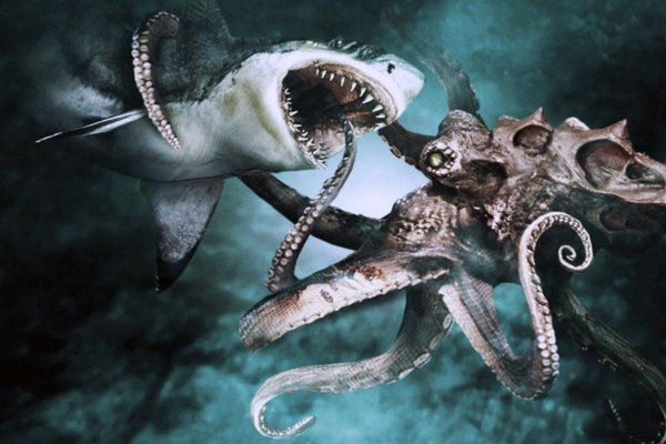 Kraken 11at