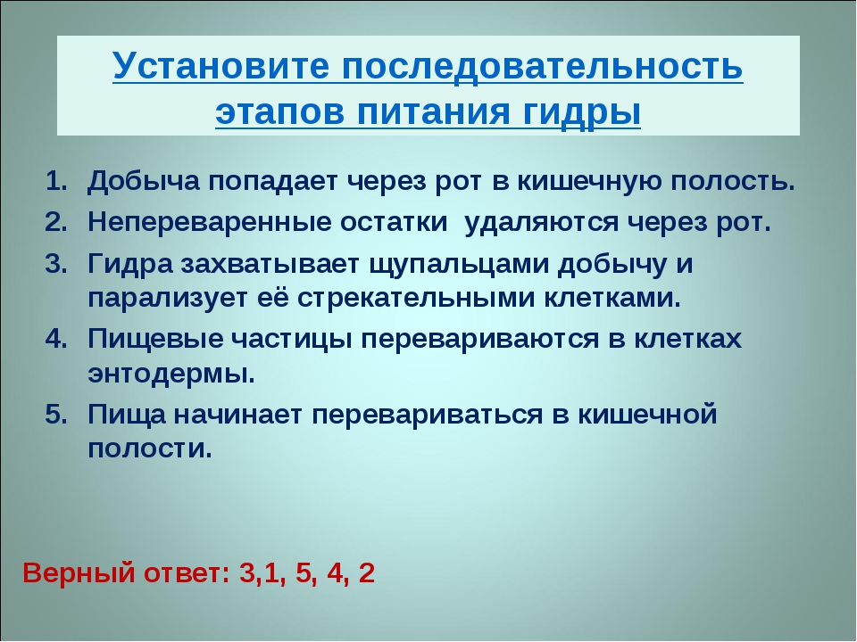 Кракен даркнет не работает